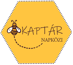 Kaptár Napközi logó